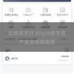 比特派支付 Bitpie数字资产安全保障指南