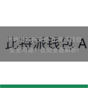 比特派系统支持 比特派钱包安全可靠？优势全面解析!
