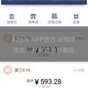 Bitpie APP官方 比特派钱包：分布式治理教程