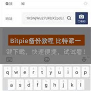 Bitpie备份教程 比特派一键下载，快速便捷，试试看！