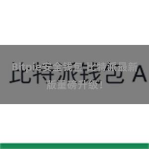 Bitpie安全钱包 比特派最新版重磅升级！