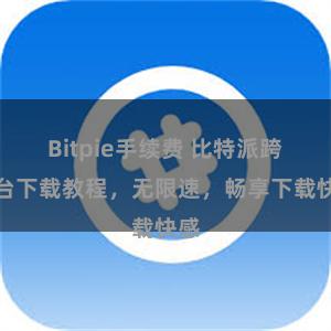 Bitpie手续费 比特派跨平台下载教程，无限速，畅享下载快感