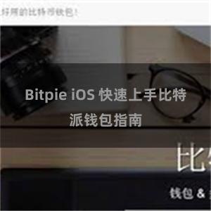 Bitpie iOS 快速上手比特派钱包指南
