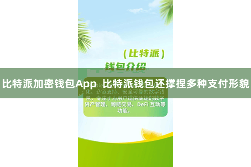 比特派加密钱包App  比特派钱包还撑捏多种支付形貌