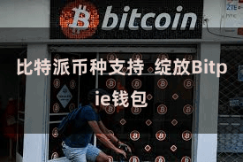 比特派币种支持  绽放Bitpie钱包