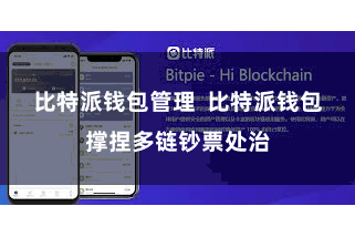 比特派钱包管理  比特派钱包撑捏多链钞票处治
