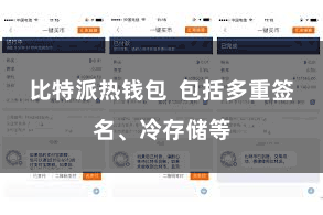 比特派热钱包  包括多重签名、冷存储等